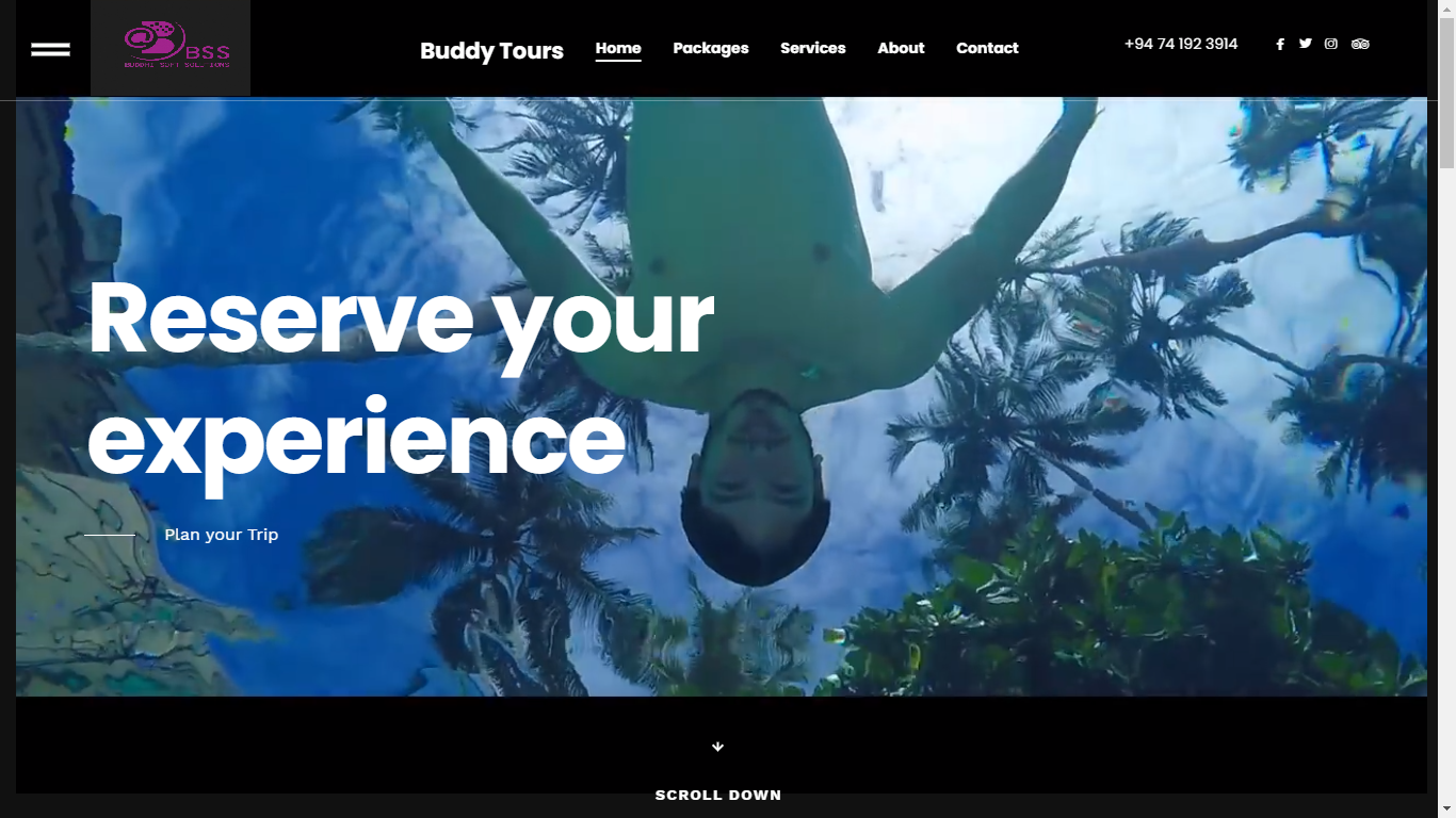 Travel & Experience Website interface